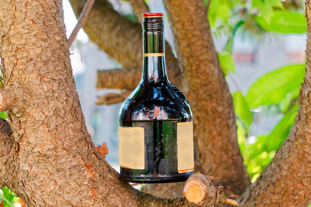 recette gourmandes avec rhum agricole